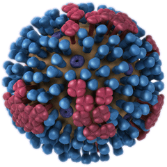 Can the Workers’ Compensation System be Vaccinated Against Influenza?